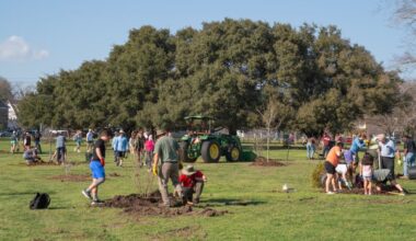 Multiple groups of people in a field planting trees