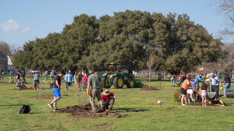 Multiple groups of people in a field planting trees