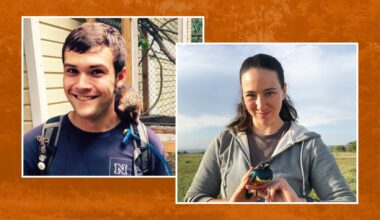 Where Are They Now: Shana Caro and Colin Morrison - UT Austin News