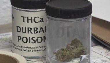 Texas Delta 8, THC ban begins tomorrow