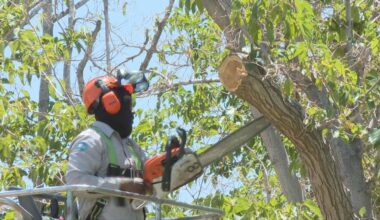 station icon