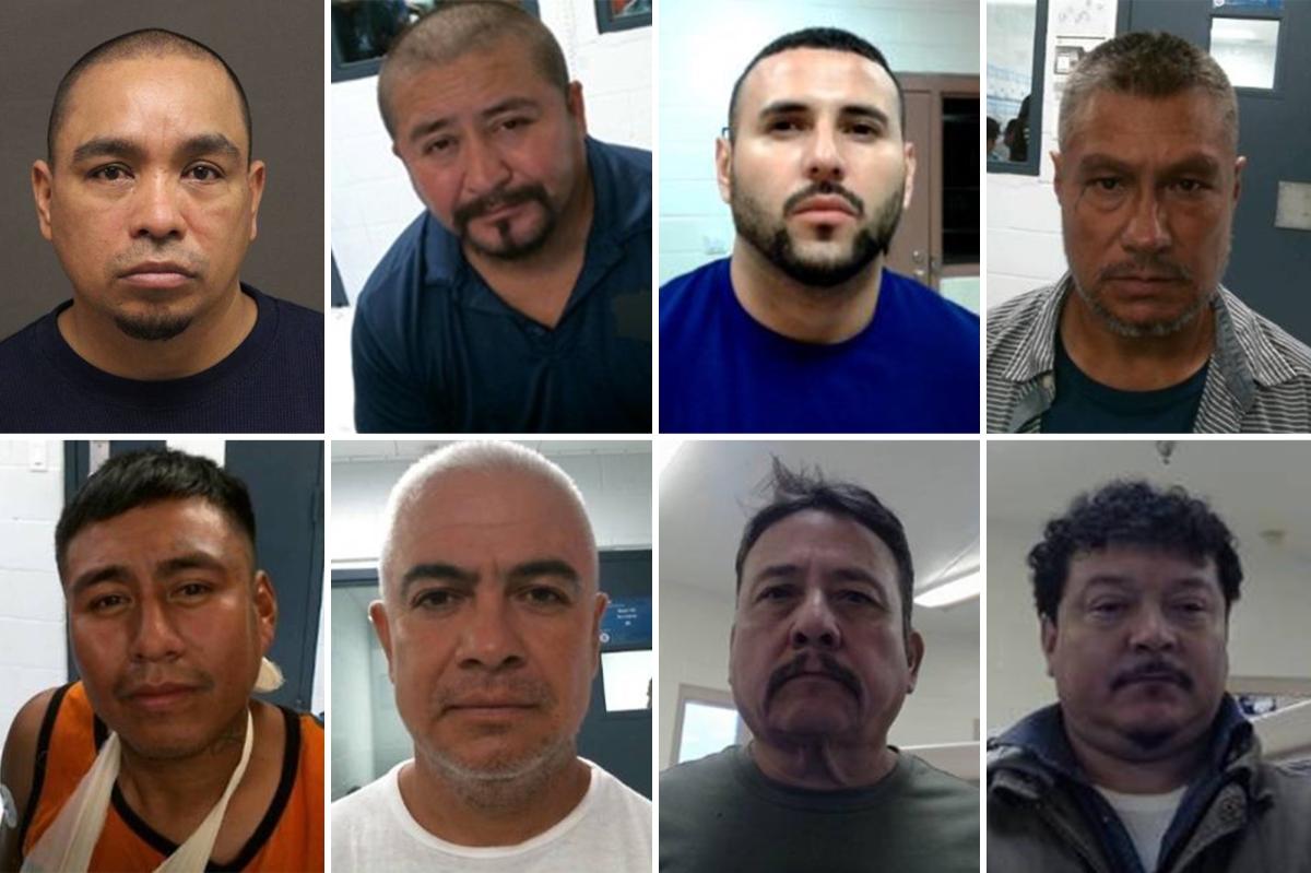 ICE arrests record 238 illegal immigrants in one day during South Texas enforcement operation