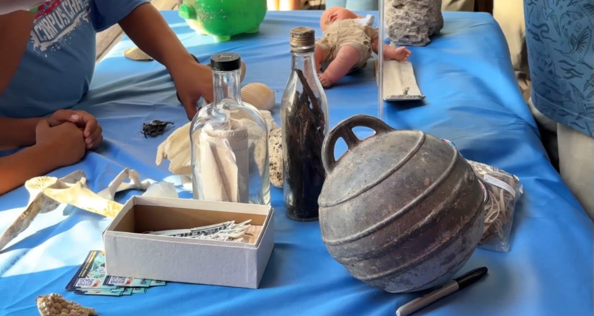 Shark week watch party brings ocean science to downtown Corpus Christi