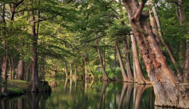 A major $4M upgrade may be coming to Texas' Blue Hole park