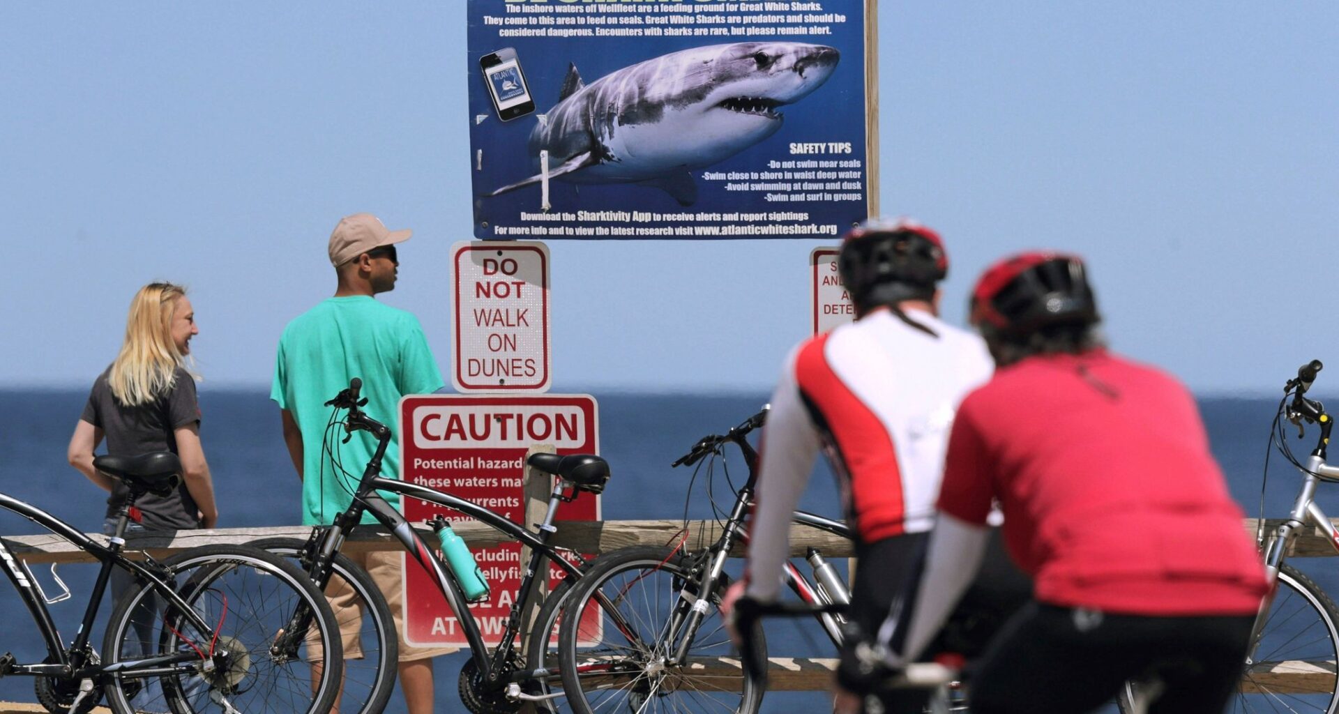 Shark attack on Alabama kick starts national alert system