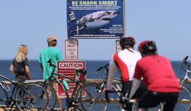 Shark attack on Alabama kick starts national alert system