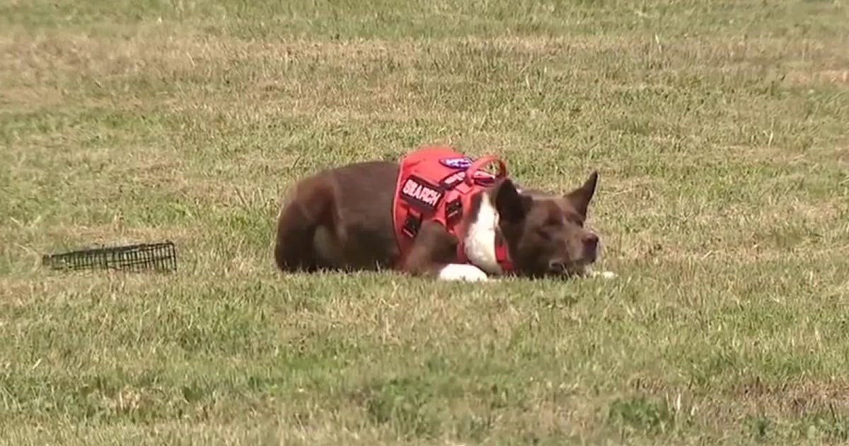TEXSAR K9s helped search after July 4th deadly Texas floods
