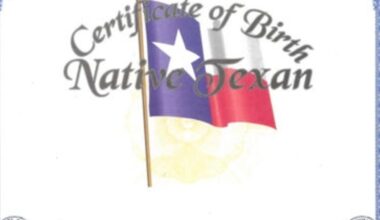 Texas Republicans want the state to deny birth certificates for children of non-citizens