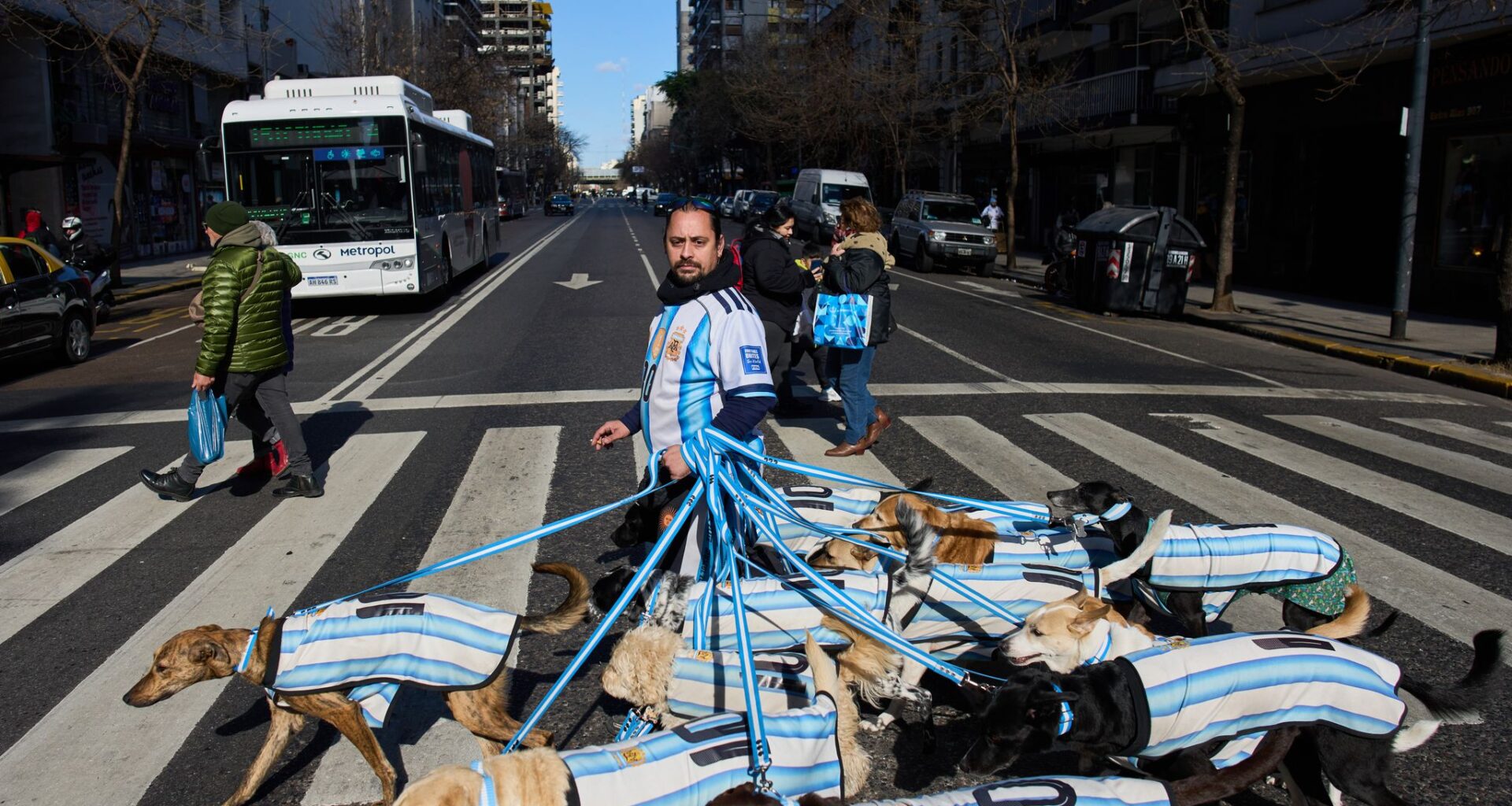 Puppy love as dog walker turns his pack of 13 into Argentina jersey-clad World Cup followers
