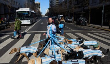 Puppy love as dog walker turns his pack of 13 into Argentina jersey-clad World Cup followers