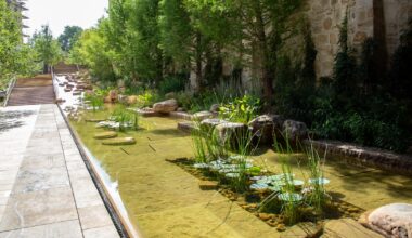 San Antonio’s Alamo reopens restored Paseo del Alamo walkway