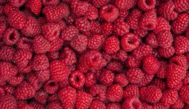 Cyclosporiasis in Texas: Which foods have been linked to the illness before?