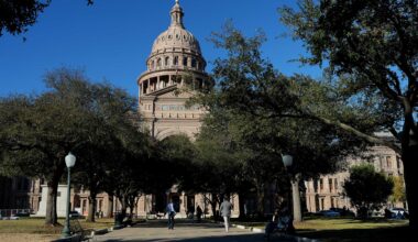 Opinion: Efficiency website helps Texans navigate state regulations