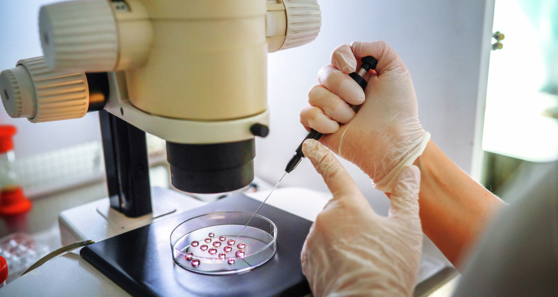 'There is a disconnect': Texas GOP chair speaks out in favor of IVF