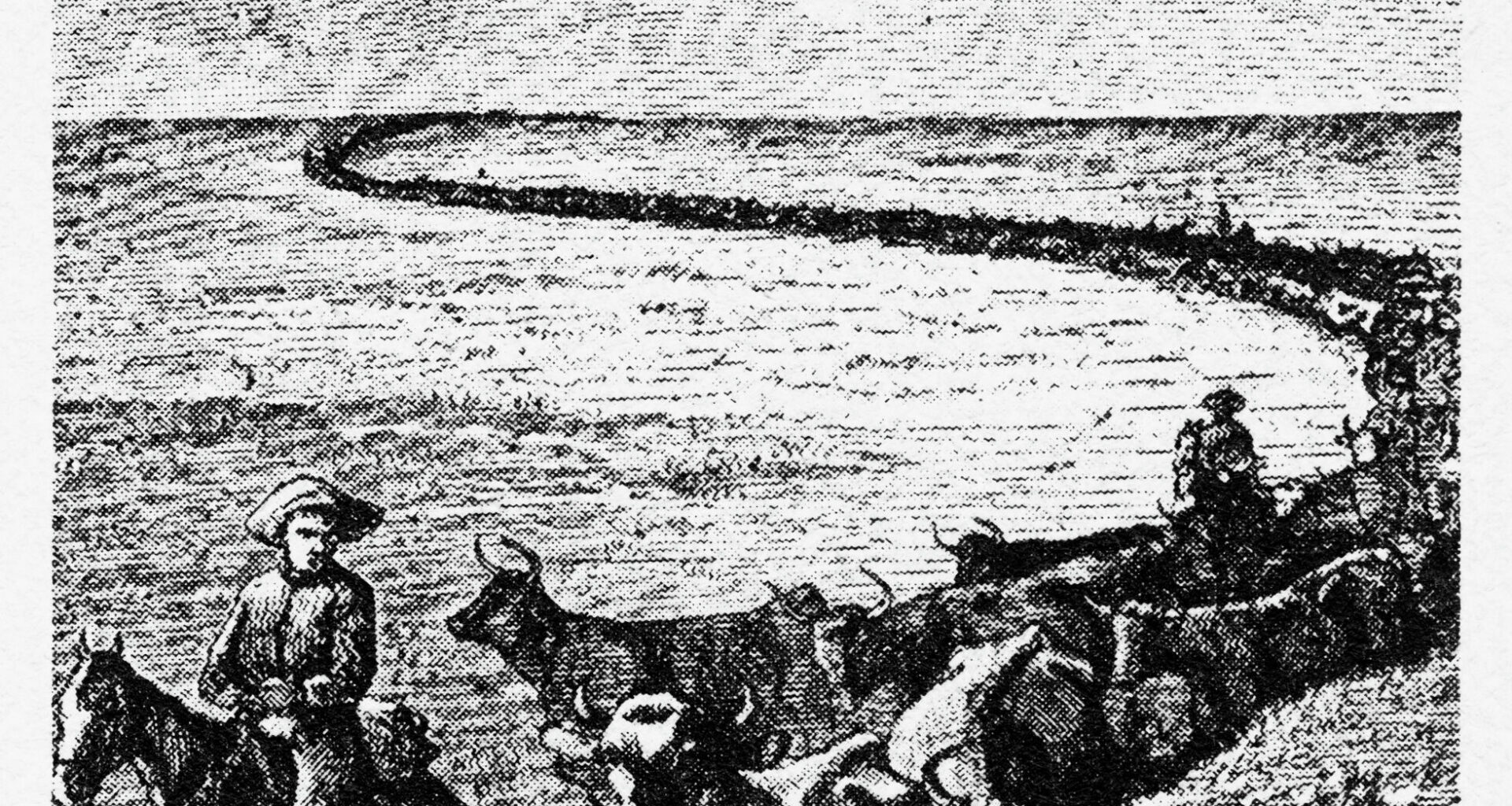 An antique engraved Victorian illustration shows early American Texas cowboys driving cattle in 1883. The first cattle drive occurred more than 100 years prior to support the Spanish army during the Revolutionary War.