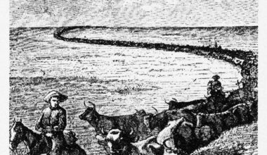 An antique engraved Victorian illustration shows early American Texas cowboys driving cattle in 1883. The first cattle drive occurred more than 100 years prior to support the Spanish army during the Revolutionary War.