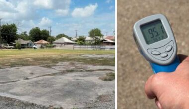 Some San Antonio districts are 10+ degrees hotter, official says; How city plans to cool them down