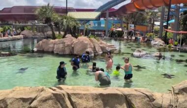 Summer heat safety for kids: Expert advice, sunscreen tips, cooling spots