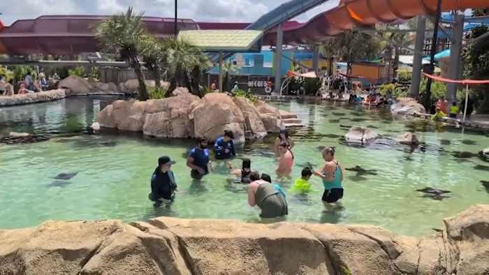 Summer heat safety for kids: Expert advice, sunscreen tips, cooling spots