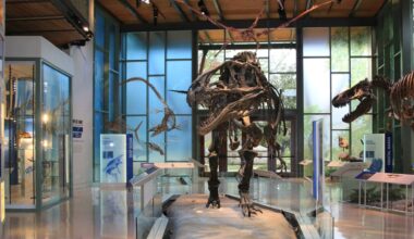 A jewel heist still mystifies this 100-year-old Texas museum