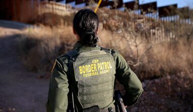 CBP seizes $10.7M cocaine hidden in cabbage at Pharr port of entry