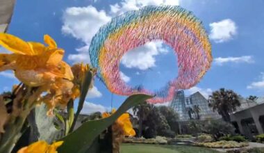 Dog Days of Summer returns to San Antonio Botanical Garden