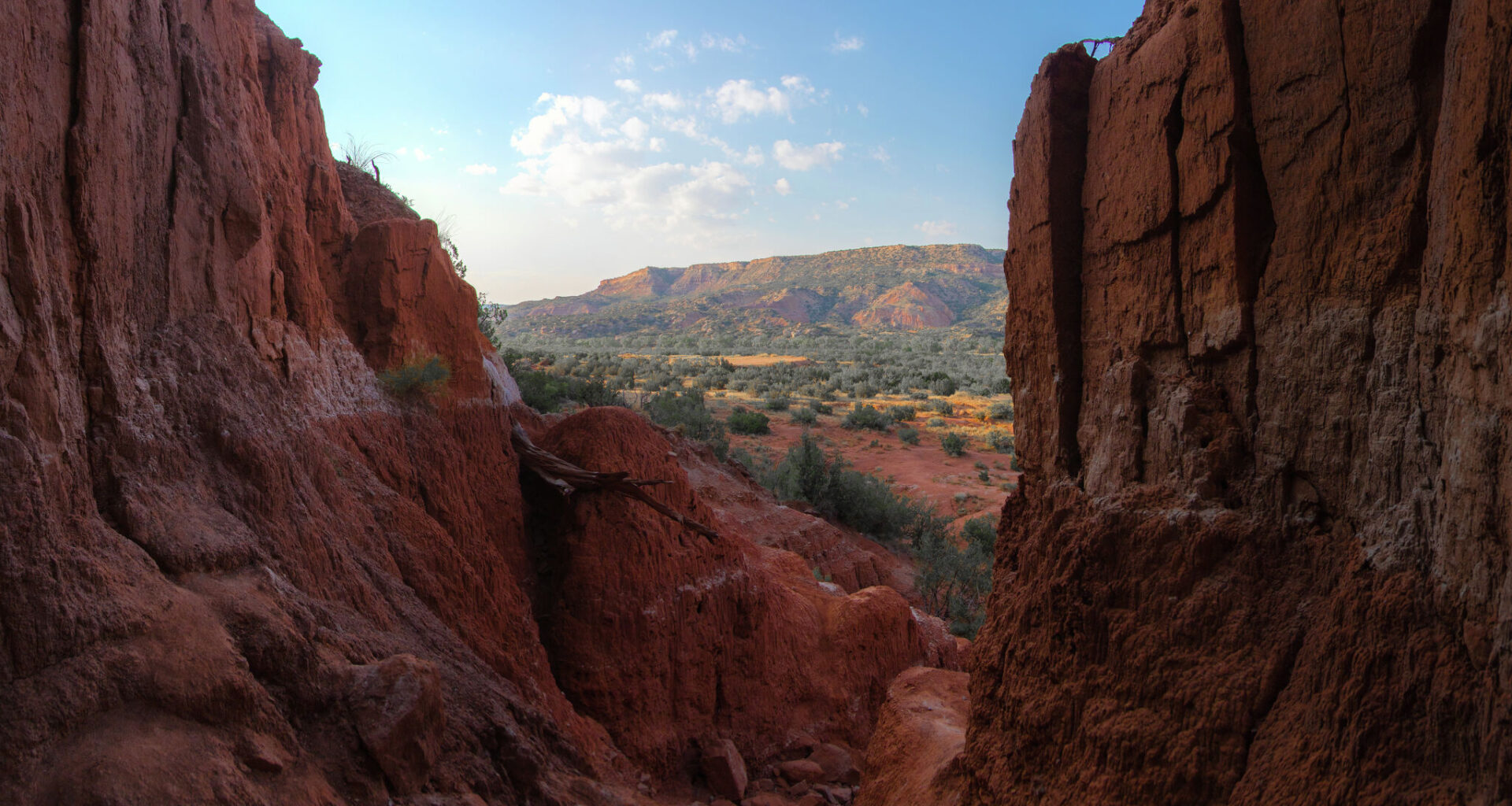 Palo Duro, Big Bend Ranch rank among best parks in the US