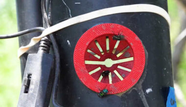 USDA releases nearly 400 million sterile flies in Texas in fight against New World Screwworm