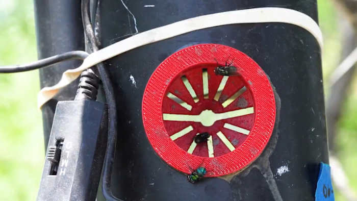 USDA releases nearly 400 million sterile flies in Texas in fight against New World Screwworm