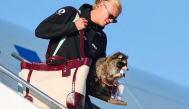 Erling Haaland brings stuffed raccoon from Dallas western store back to Norway