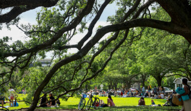 Menil Park is unlike any other in Houston