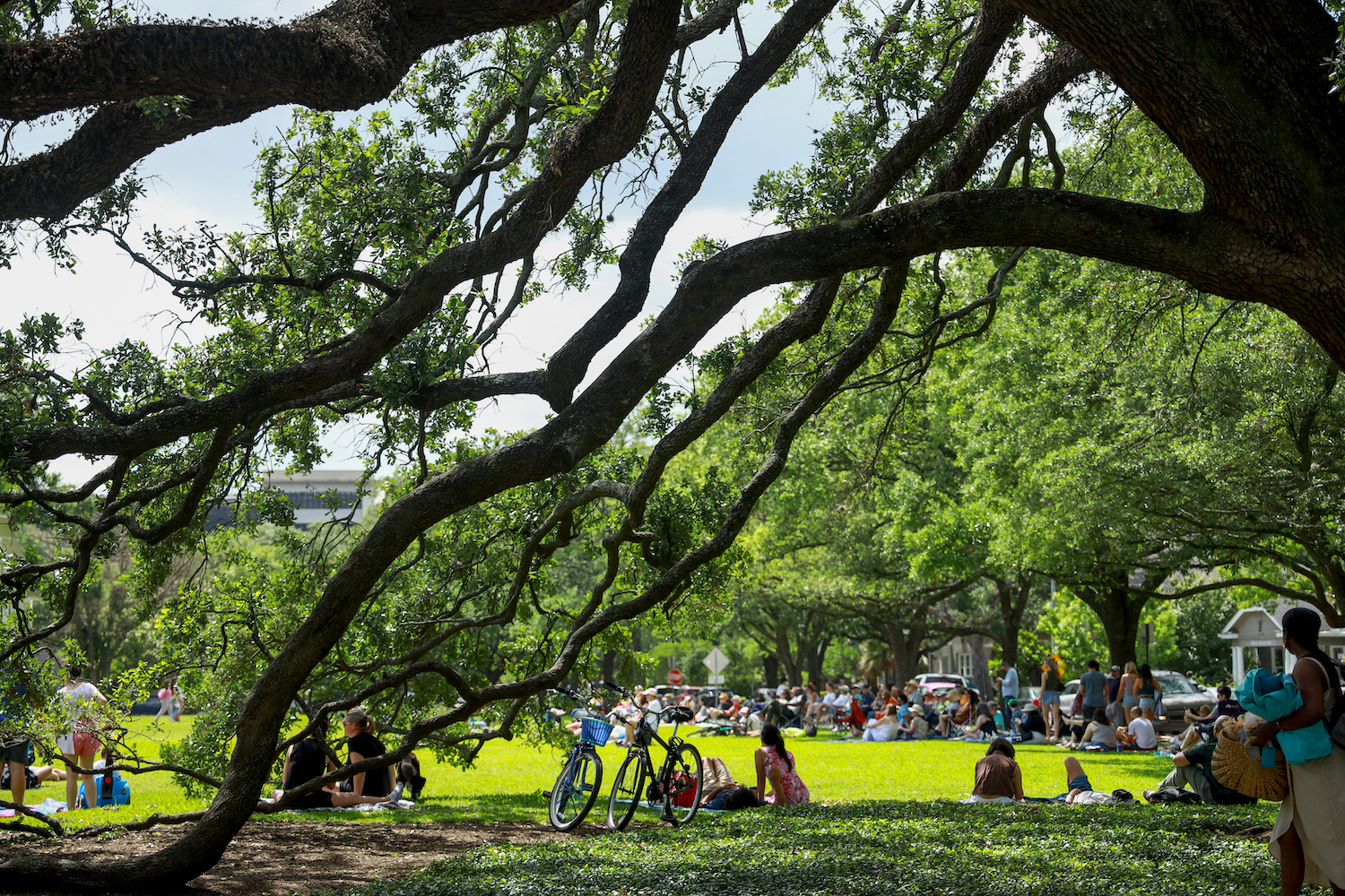 Menil Park is unlike any other in Houston