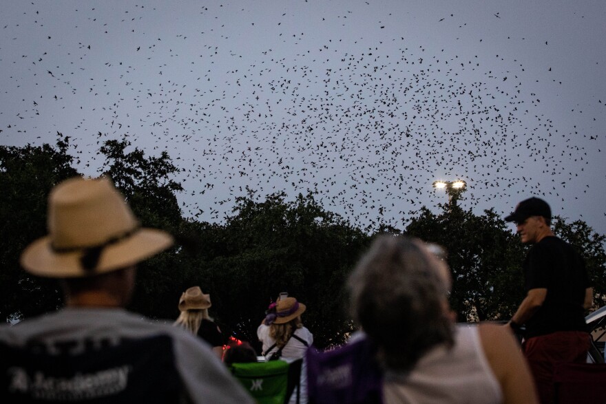 Crowds gather at Capital Plaza for a Purple Martin Party, hosted by Travis Audubon, in July of 2021.