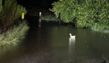 Flash Flood Warning issued for Central Texas as storms intensify