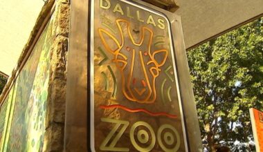 Dallas Zoo economic impact study shows billions generated for city as budget cuts loom
