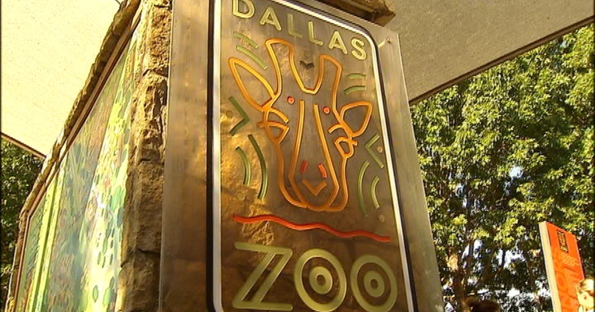 Dallas Zoo economic impact study shows billions generated for city as budget cuts loom