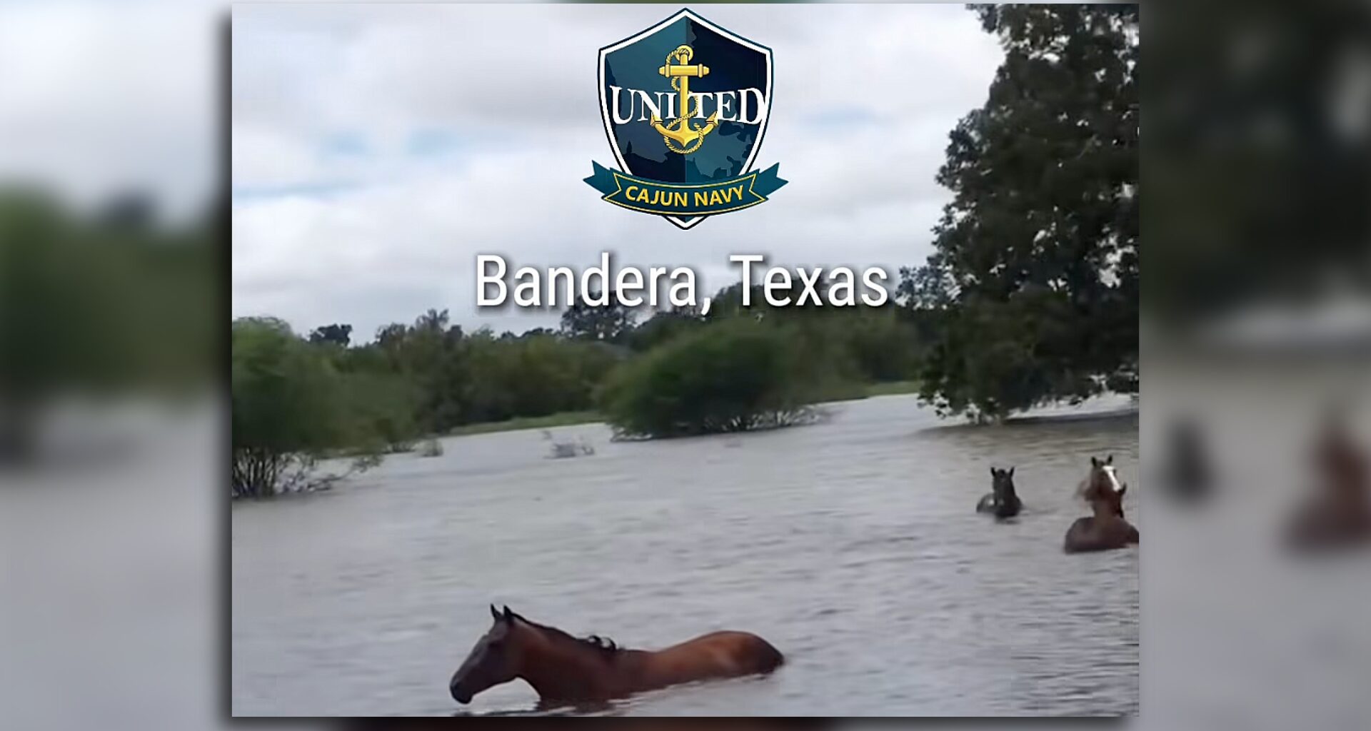 Cajun Navy volunteers rescue Hill Country horses from floodwaters