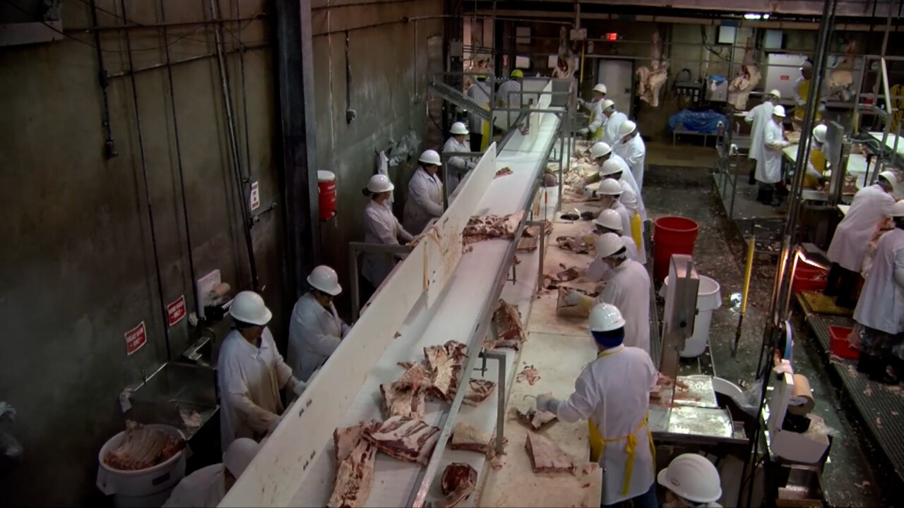 STX Beef Plant Workers