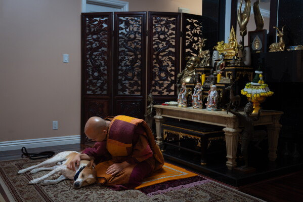 Bhikkhu Pannakara, a Buddhist monk who led a Walk for Peace from Fort Worth, Texas, to Washington, D.C., pets his dog, Aloka, while waiting for an event to start in the North Hollywood section of Los Angeles, Monday, July 13, 2026. (AP Photo/Jae C. Hong)
