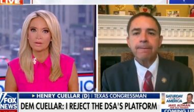 Texas Democratic rep vows to ‘reject’ the DSA platform