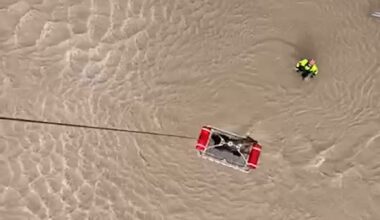 DVIDS - Video - Texas Military Department Dog Rescue with Texas A&M Task Force 1