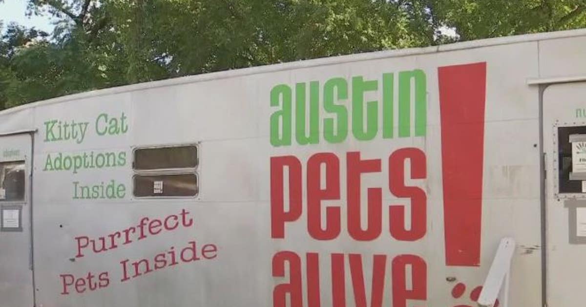 Local animal shelter rescues 17 pets from Texas flooding
