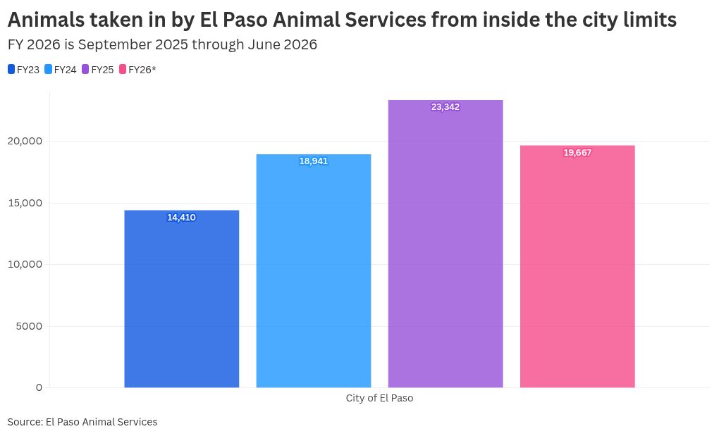 chart visualization