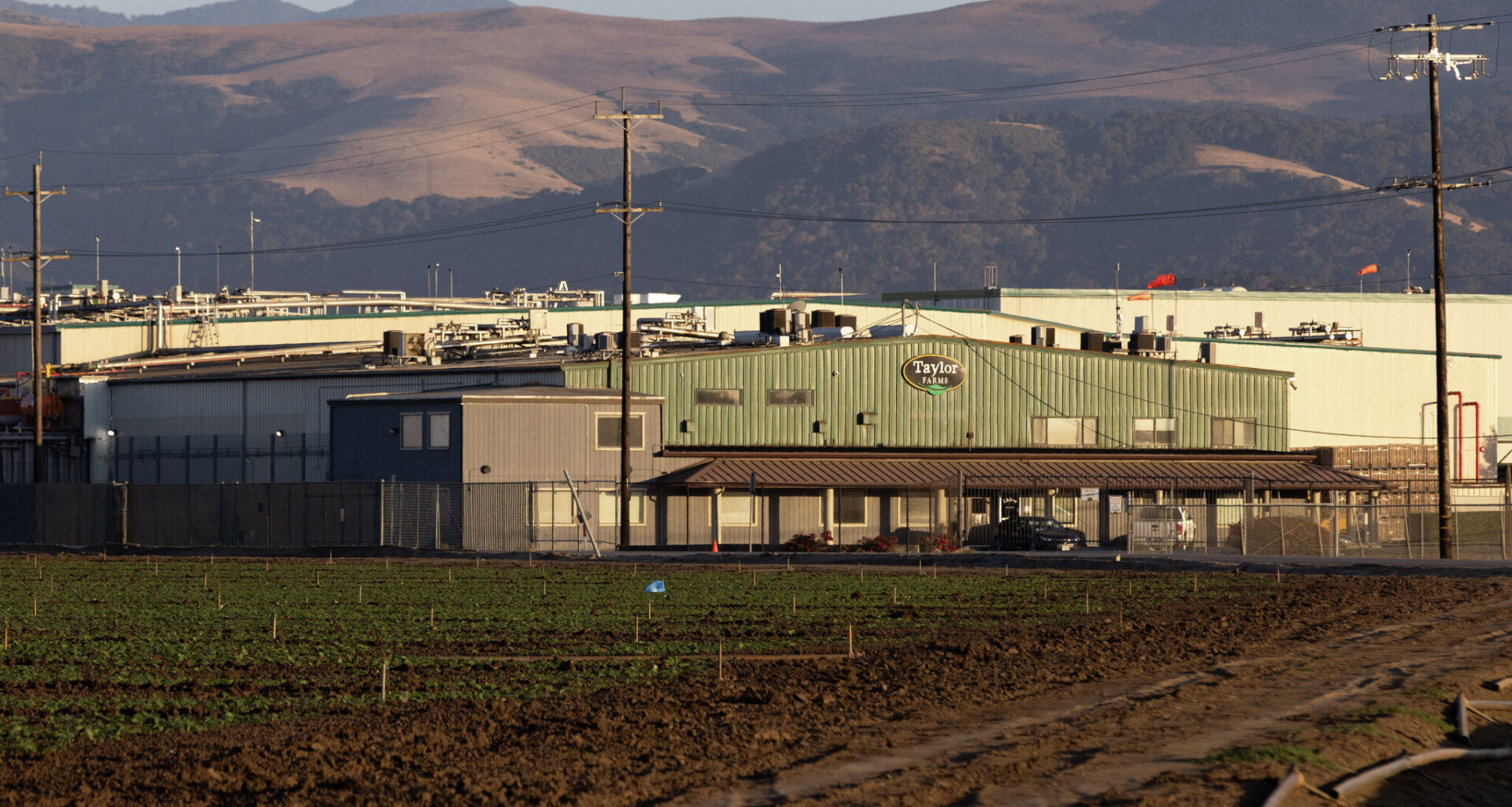 Cyclospora outbreak: Lettuce tied to diarrhea was distributed in Texas