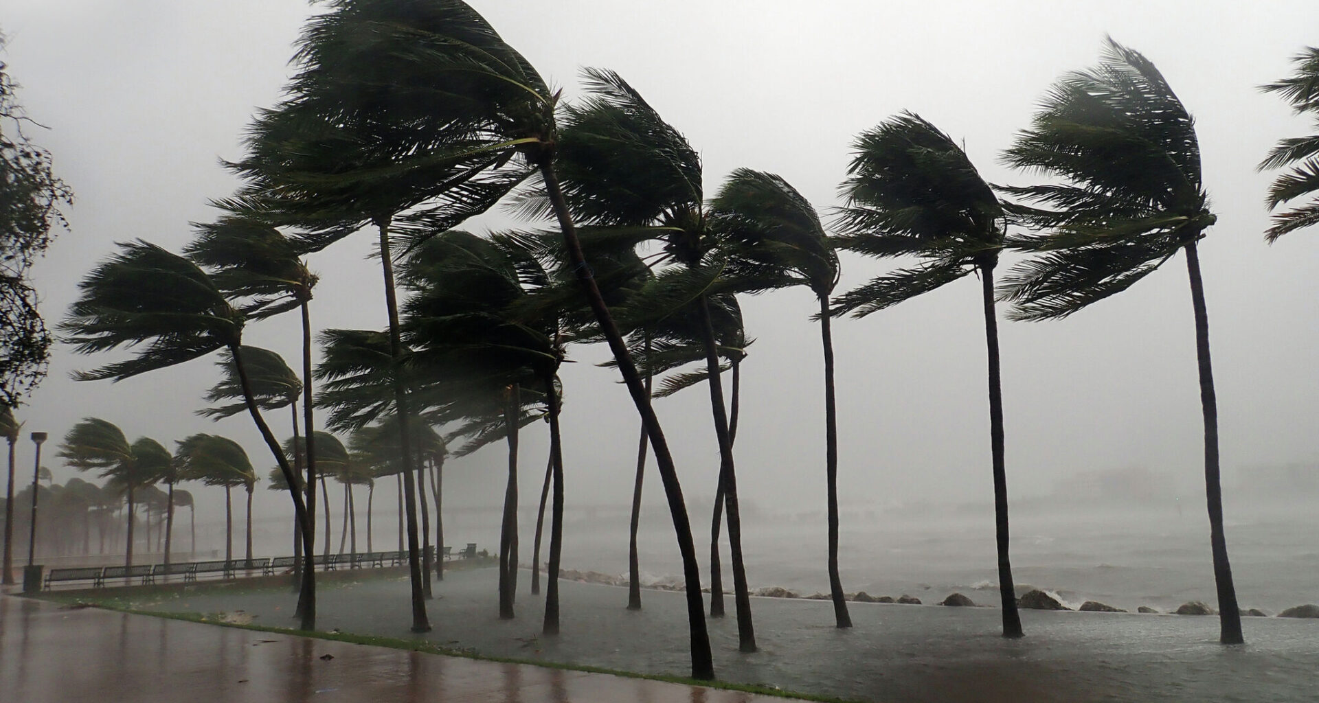Tropical Depression Two could move toward Texas coast this week