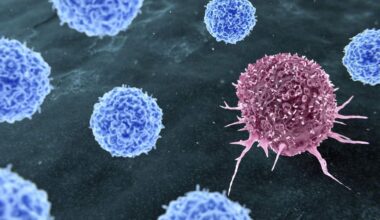 Rice SynthX Center, Houston Methodist award $90K for cancer seed grants