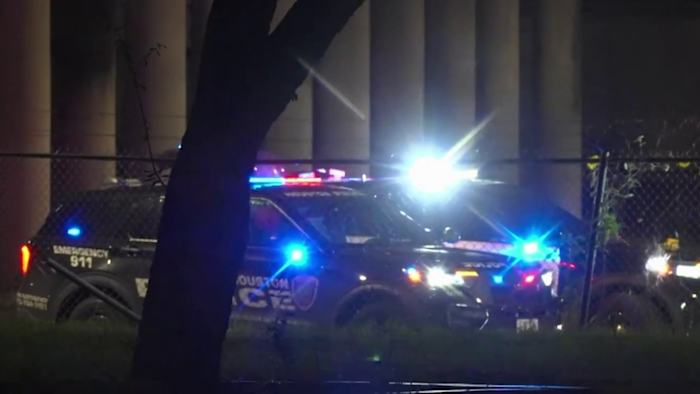 Woman shot in neck after shooting at southeast Houston business