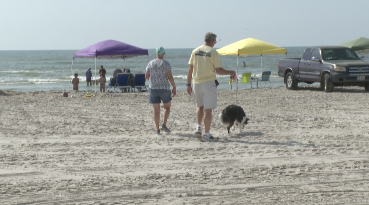 DOG ON BEACH