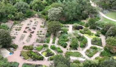 San Antonio Botanical Garden CEO says proposed city funding cuts could affect mission