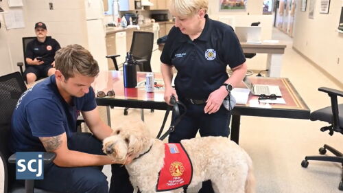 Therapy dog brings comfort and stress relief to Iowa fire, EMS crews